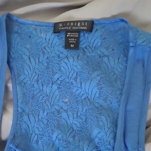 Midnight by Carole Hochman Blue Lace Chemise